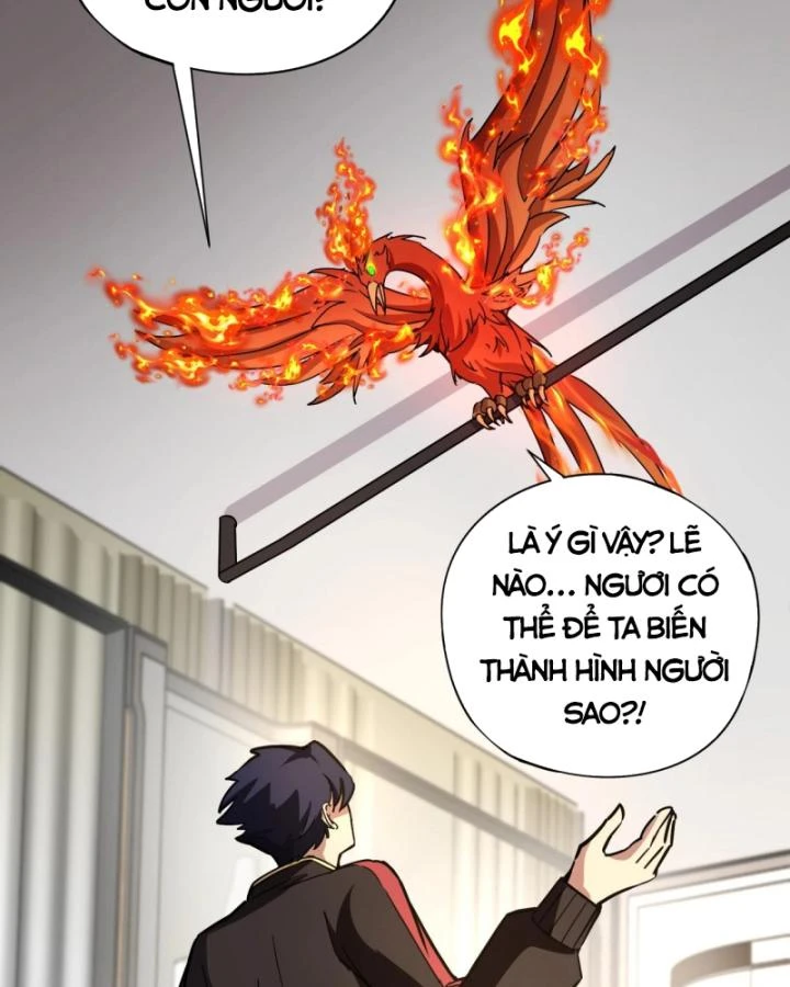 Toàn Dân Ngự Linh: Linh Sủng Của Ta Là Nữ Cường Thi Chapter 41 - 3