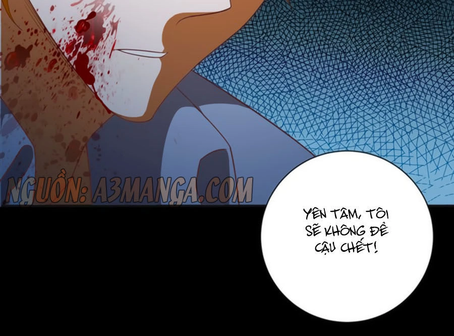 Người Yêu Khát Máu Của Tôi Chapter 41 - 50