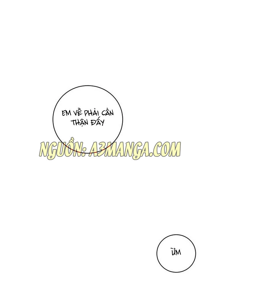 Người Yêu Khát Máu Của Tôi Chapter 43 - 49