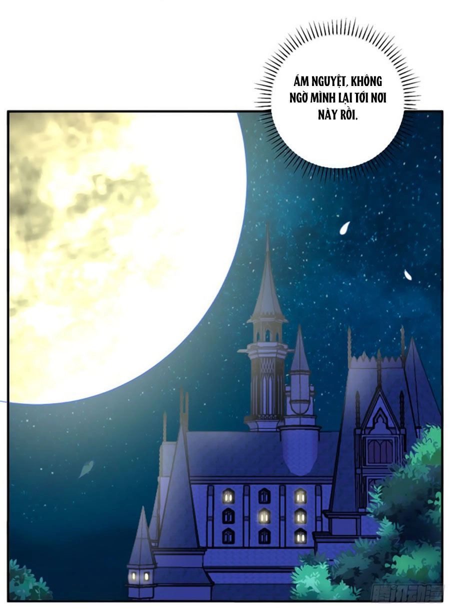 Người Yêu Khát Máu Của Tôi Chapter 84 - 59