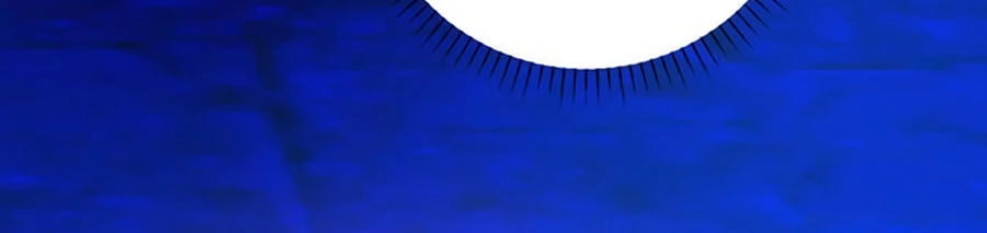 Người Yêu Khát Máu Của Tôi Chapter 93 - 4