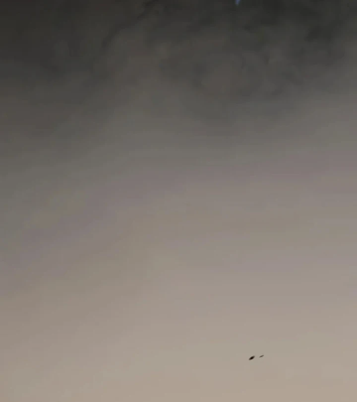 Thiết Huyết Kiếm Sĩ Hồi Quy Chapter 152 - 112