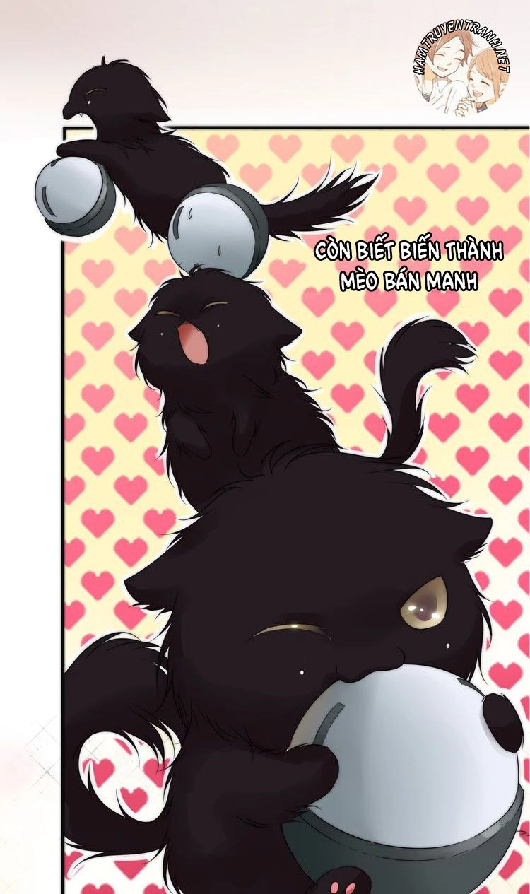 Viện Bảo Tàng Tâm Nguyện Chapter 1.1 - 4