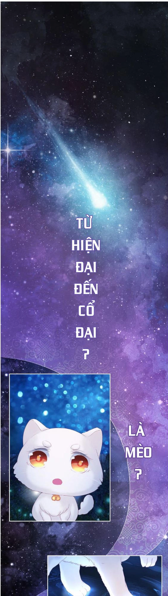 Báo Cáo Vương Gia, Vương Phi Là Một Con Mèo Chapter 1 - 2
