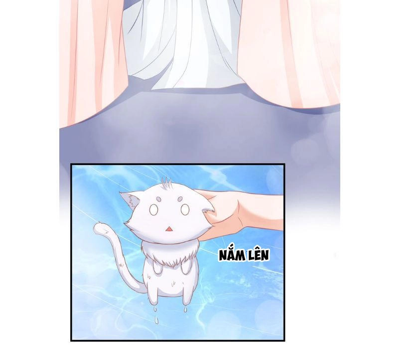 Báo Cáo Vương Gia, Vương Phi Là Một Con Mèo Chapter 1 - 16