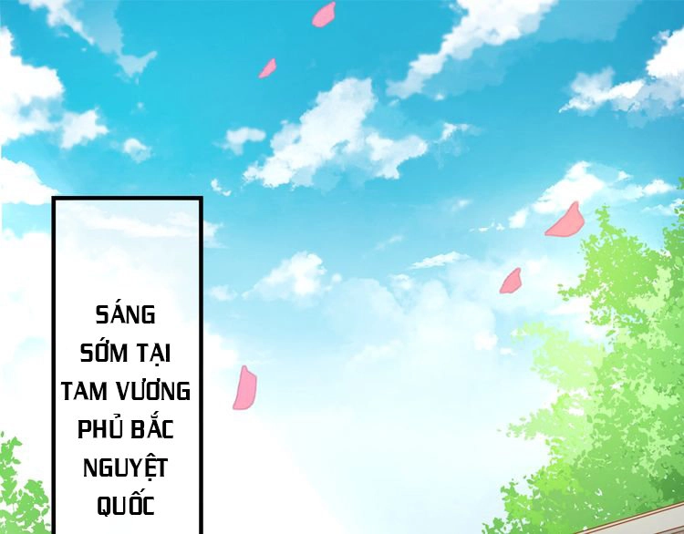 Báo Cáo Vương Gia, Vương Phi Là Một Con Mèo Chapter 2 - 3