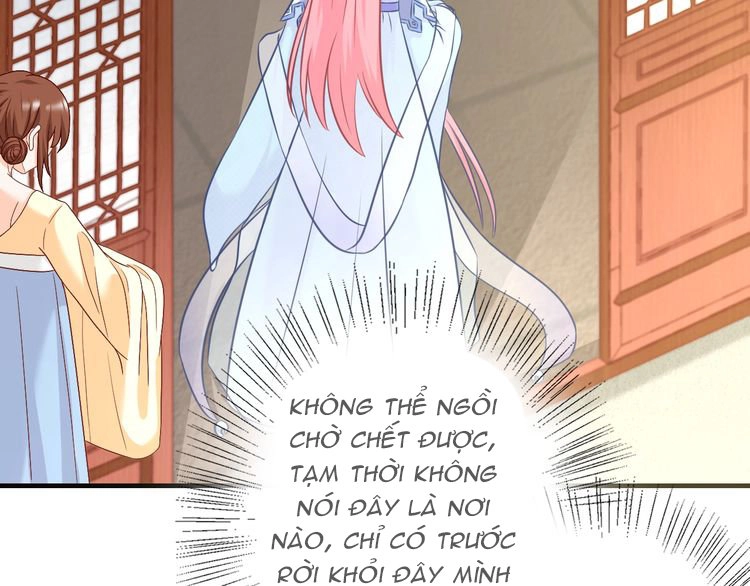 Báo Cáo Vương Gia, Vương Phi Là Một Con Mèo Chapter 2 - 99