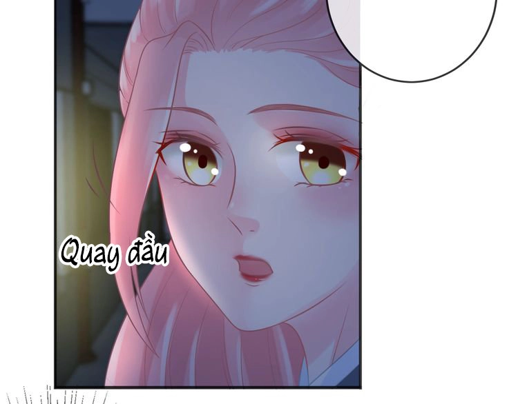 Báo Cáo Vương Gia, Vương Phi Là Một Con Mèo Chapter 2 - 120