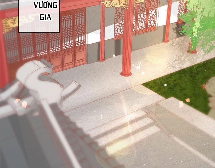 Báo Cáo Vương Gia, Vương Phi Là Một Con Mèo Chapter 3 - 93