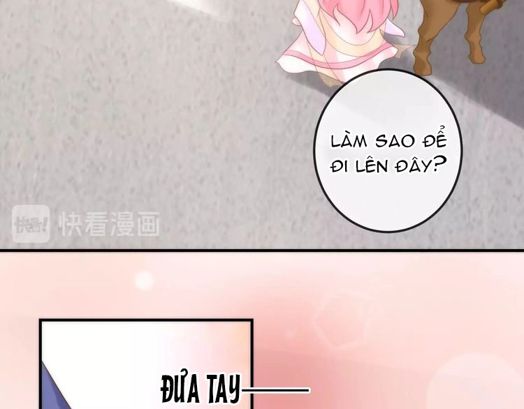 Báo Cáo Vương Gia, Vương Phi Là Một Con Mèo Chapter 4 - 106