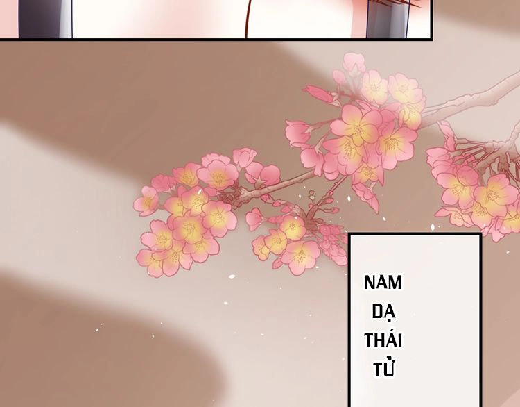 Báo Cáo Vương Gia, Vương Phi Là Một Con Mèo Chapter 4 - 116