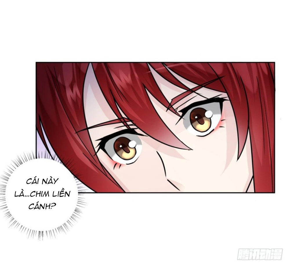 Thiên Kim Đường Môn Chapter 95 - 4