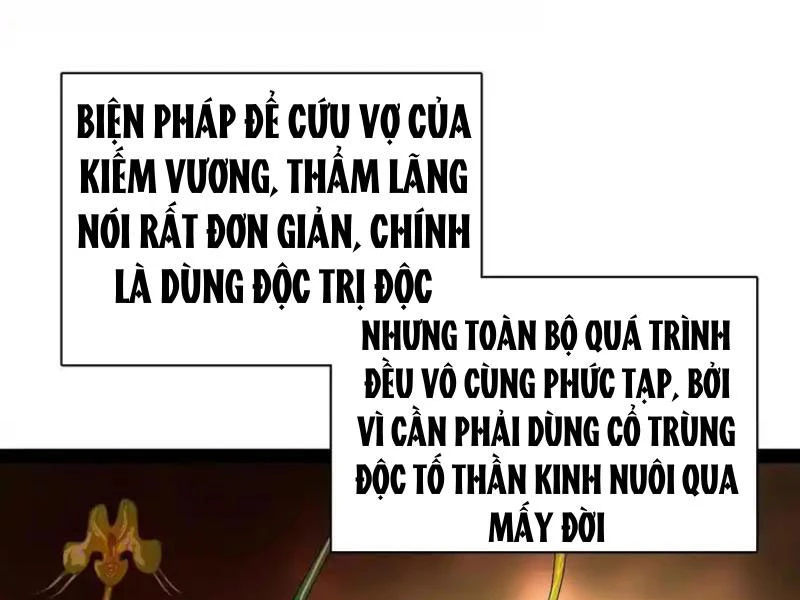 Chàng Rể Mạnh Nhất Lịch Sử Chapter 342 - 46
