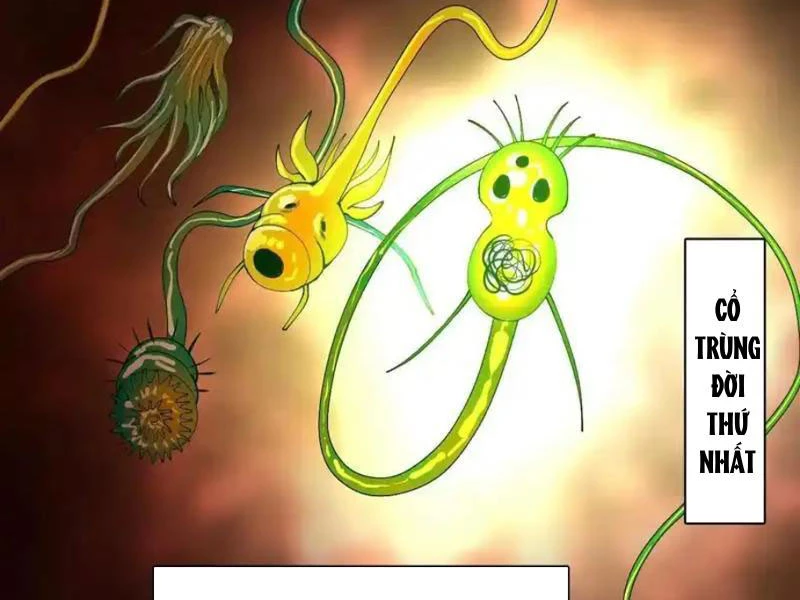 Chàng Rể Mạnh Nhất Lịch Sử Chapter 342 - 47