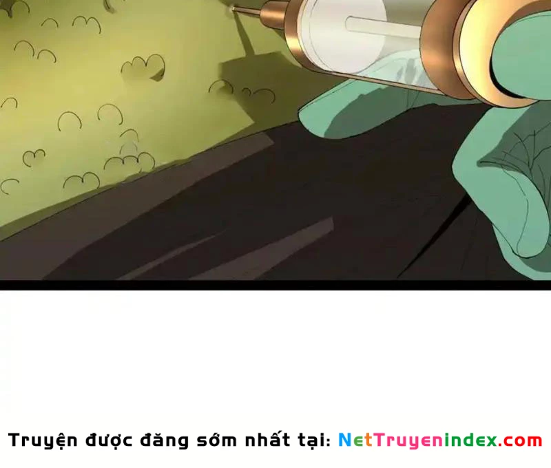 Chàng Rể Mạnh Nhất Lịch Sử Chapter 342 - 55