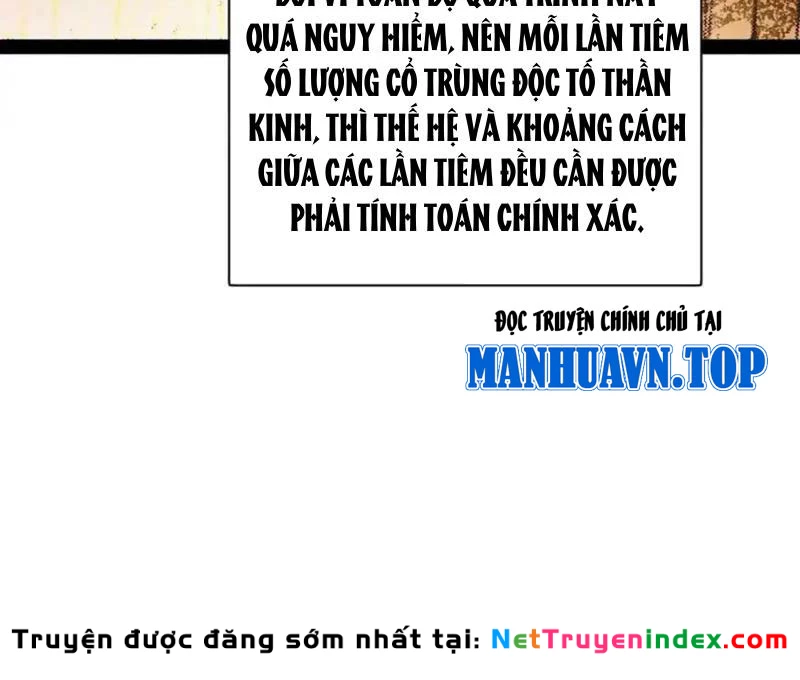 Chàng Rể Mạnh Nhất Lịch Sử Chapter 342 - 78