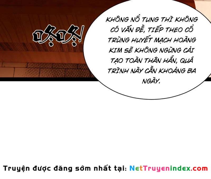 Chàng Rể Mạnh Nhất Lịch Sử Chapter 349 - 80