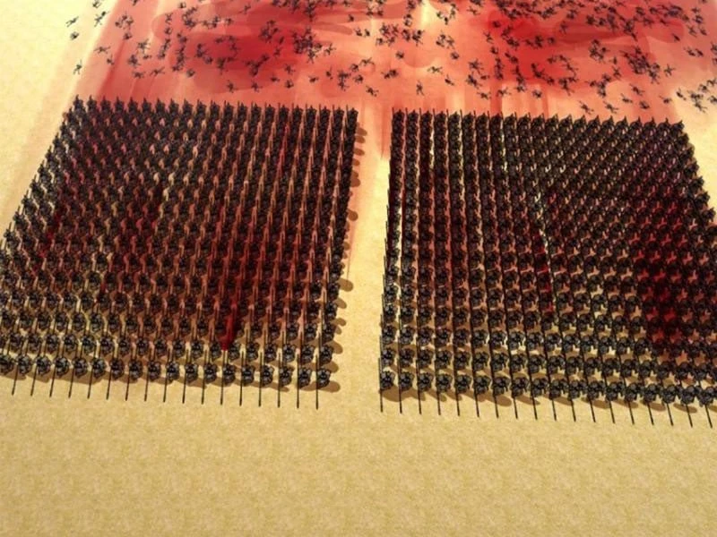 Chàng Rể Mạnh Nhất Lịch Sử Chapter 356 - 24