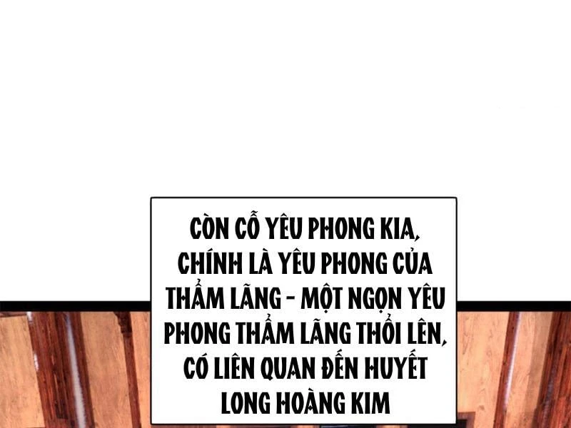 Chàng Rể Mạnh Nhất Lịch Sử Chapter 364 - 78