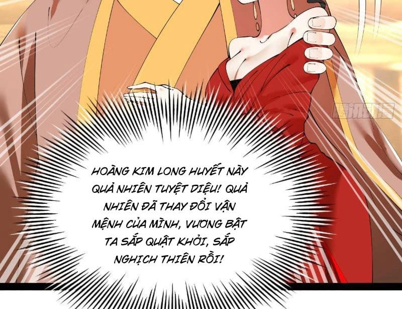 Chàng Rể Mạnh Nhất Lịch Sử Chapter 366 - 119