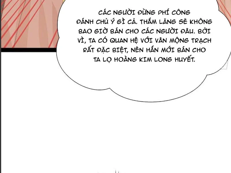 Chàng Rể Mạnh Nhất Lịch Sử Chapter 367 - 13