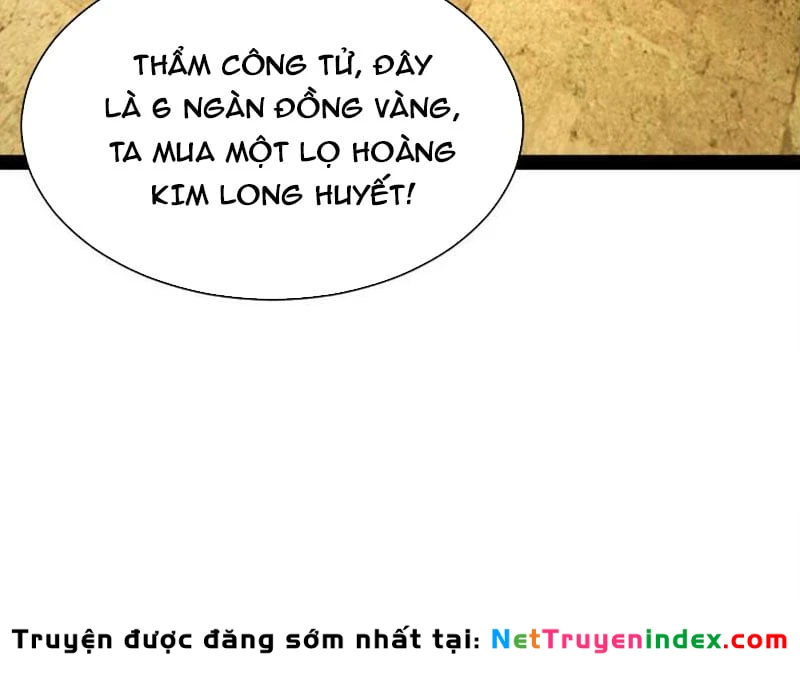 Chàng Rể Mạnh Nhất Lịch Sử Chapter 367 - 33