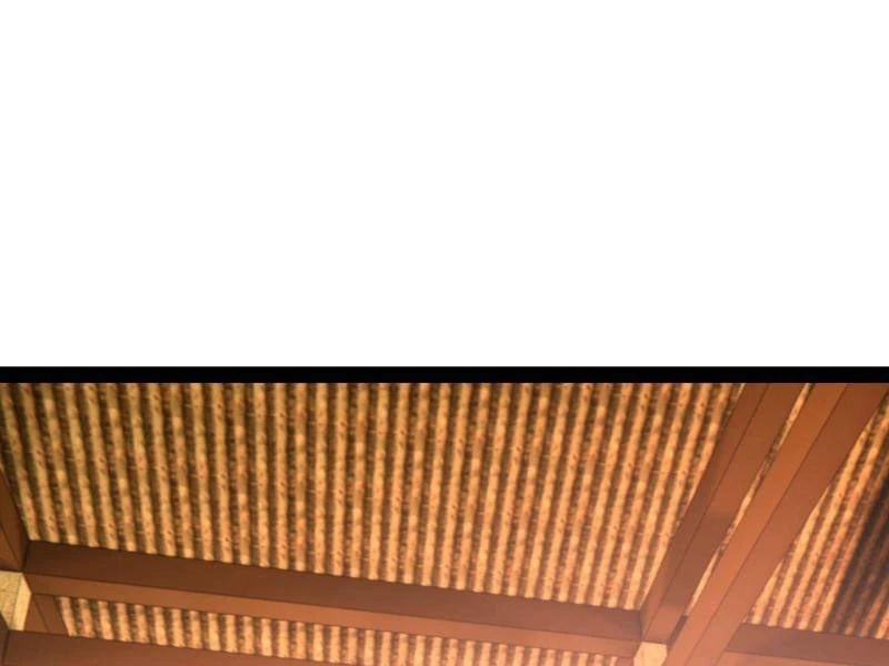 Chàng Rể Mạnh Nhất Lịch Sử Chapter 367 - 52