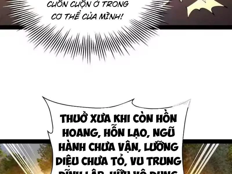 Chàng Rể Mạnh Nhất Lịch Sử Chapter 370 - 5