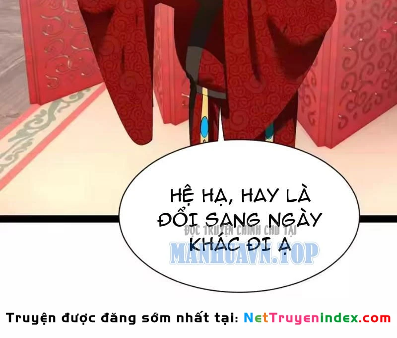 Chàng Rể Mạnh Nhất Lịch Sử Chapter 370 - 81