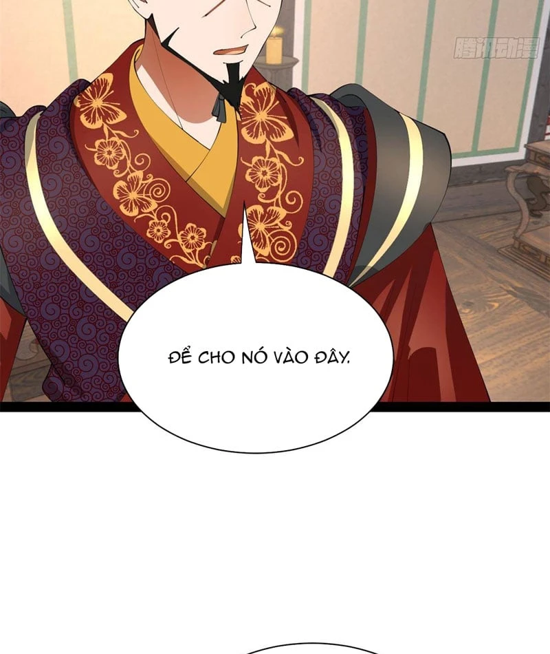 Chàng Rể Mạnh Nhất Lịch Sử Chapter 377 - 11