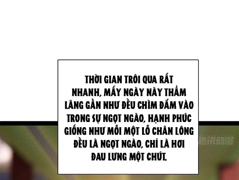 Chàng Rể Mạnh Nhất Lịch Sử Chapter 388 - 16