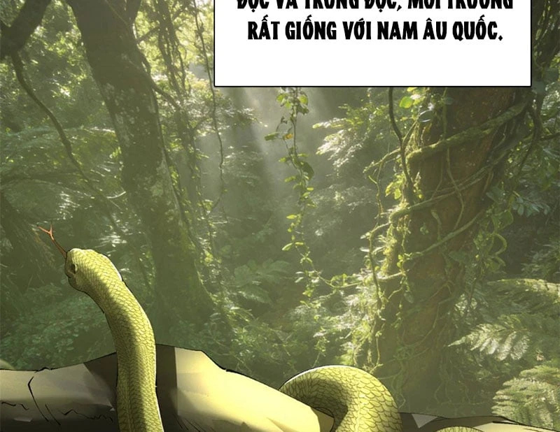 Chàng Rể Mạnh Nhất Lịch Sử Chapter 389 - 98