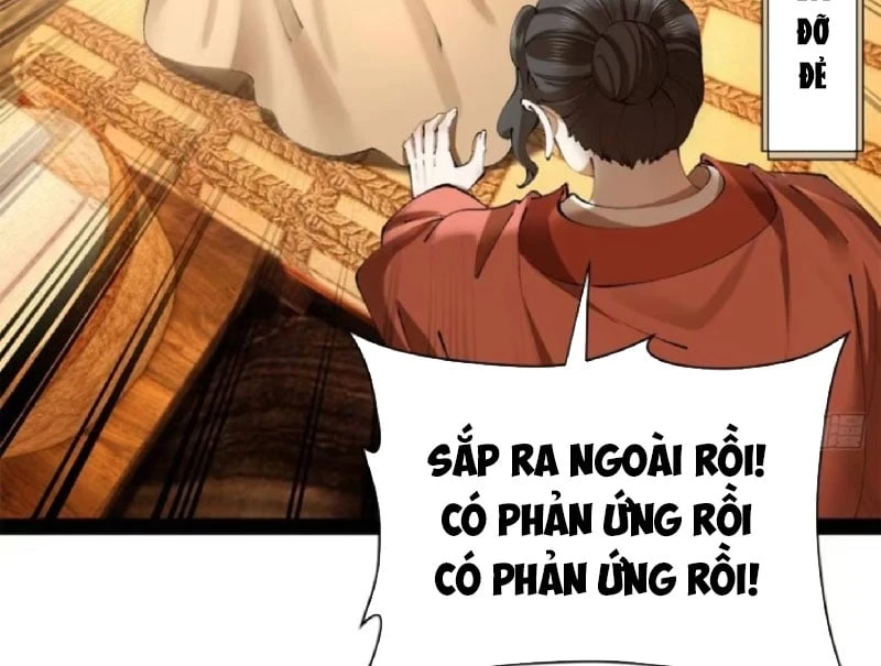 Chàng Rể Mạnh Nhất Lịch Sử Chapter 391 - 111