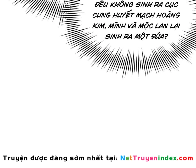 Chàng Rể Mạnh Nhất Lịch Sử Chapter 392 - 6