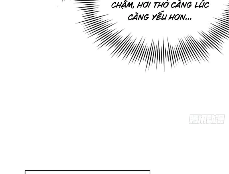 Chàng Rể Mạnh Nhất Lịch Sử Chapter 392 - 42