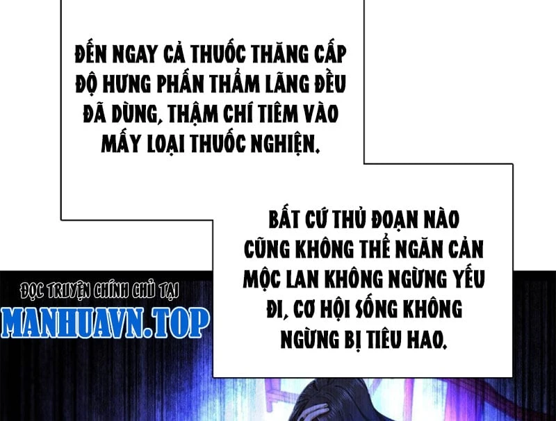 Chàng Rể Mạnh Nhất Lịch Sử Chapter 392 - 43