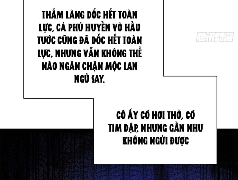 Chàng Rể Mạnh Nhất Lịch Sử Chapter 392 - 46