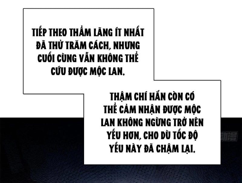 Chàng Rể Mạnh Nhất Lịch Sử Chapter 392 - 66