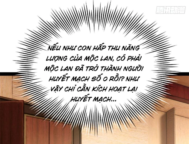 Chàng Rể Mạnh Nhất Lịch Sử Chapter 392 - 92