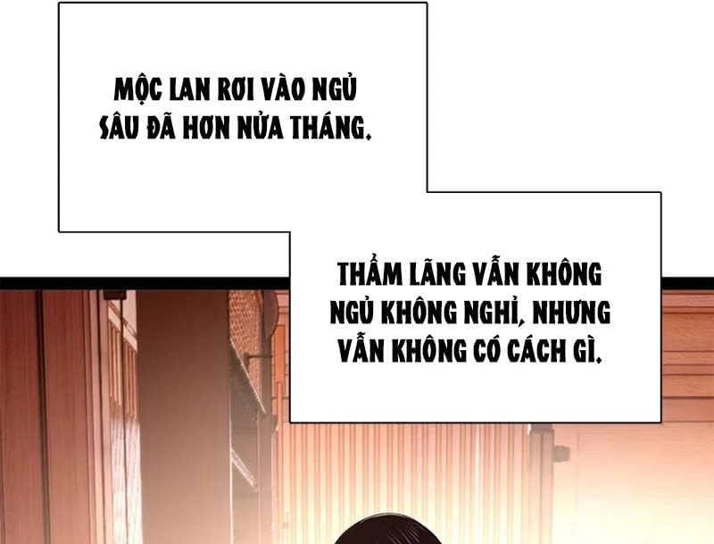 Chàng Rể Mạnh Nhất Lịch Sử Chapter 393 - 14