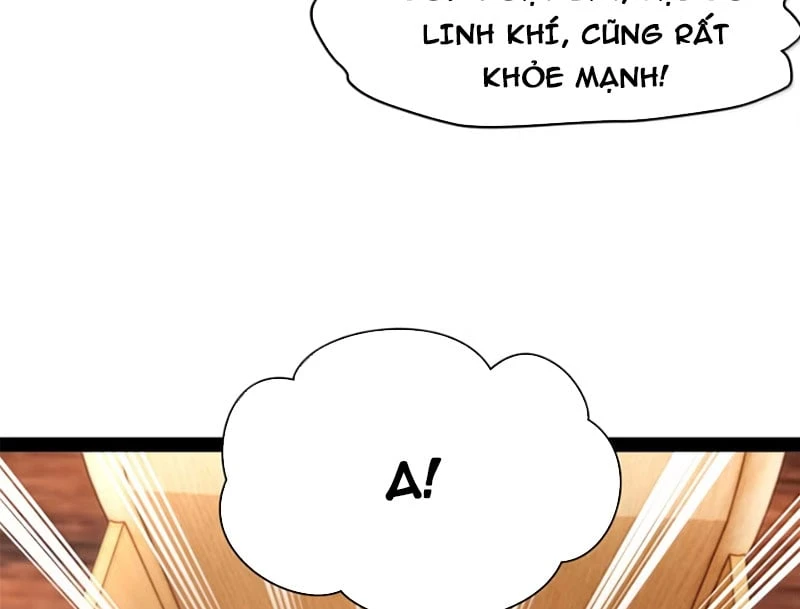 Chàng Rể Mạnh Nhất Lịch Sử Chapter 393 - 74