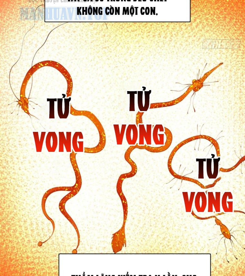 Chàng Rể Mạnh Nhất Lịch Sử Chapter 395 - 71