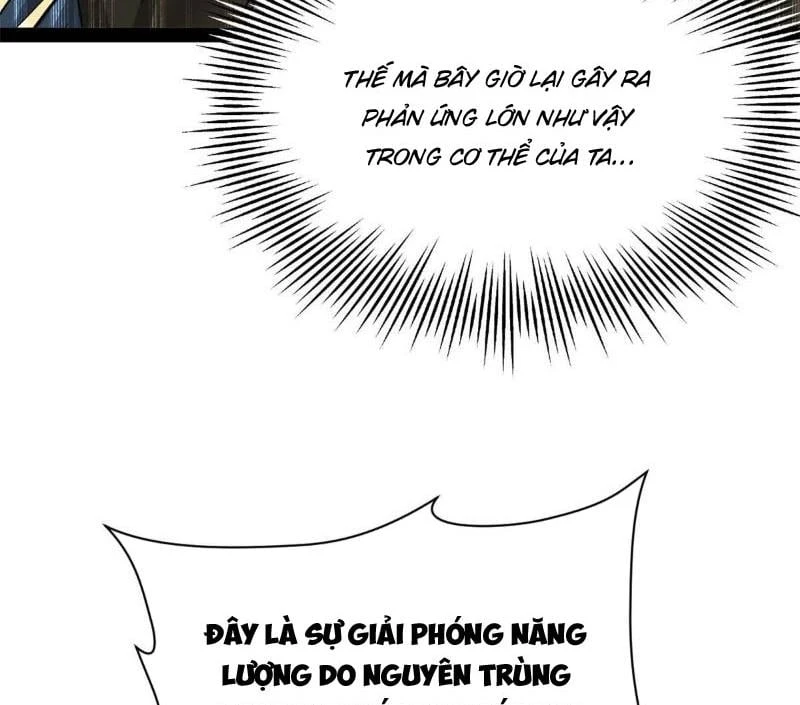 Chàng Rể Mạnh Nhất Lịch Sử Chapter 396 - 3