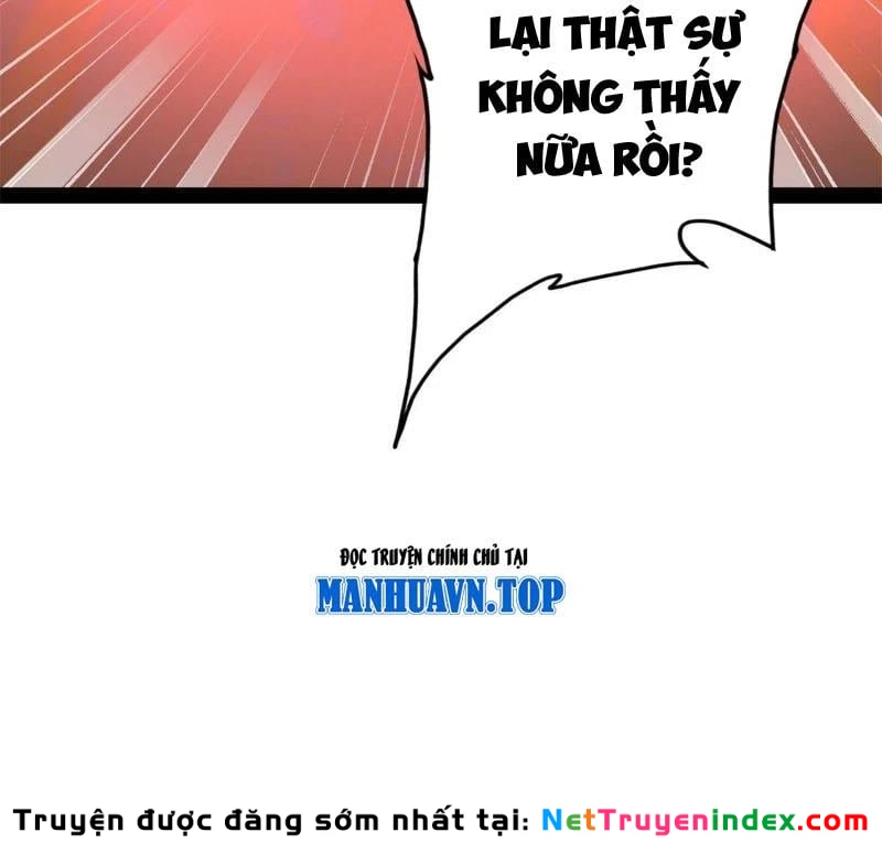 Chàng Rể Mạnh Nhất Lịch Sử Chapter 396 - 17