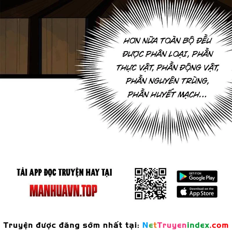 Chàng Rể Mạnh Nhất Lịch Sử Chapter 396 - 66