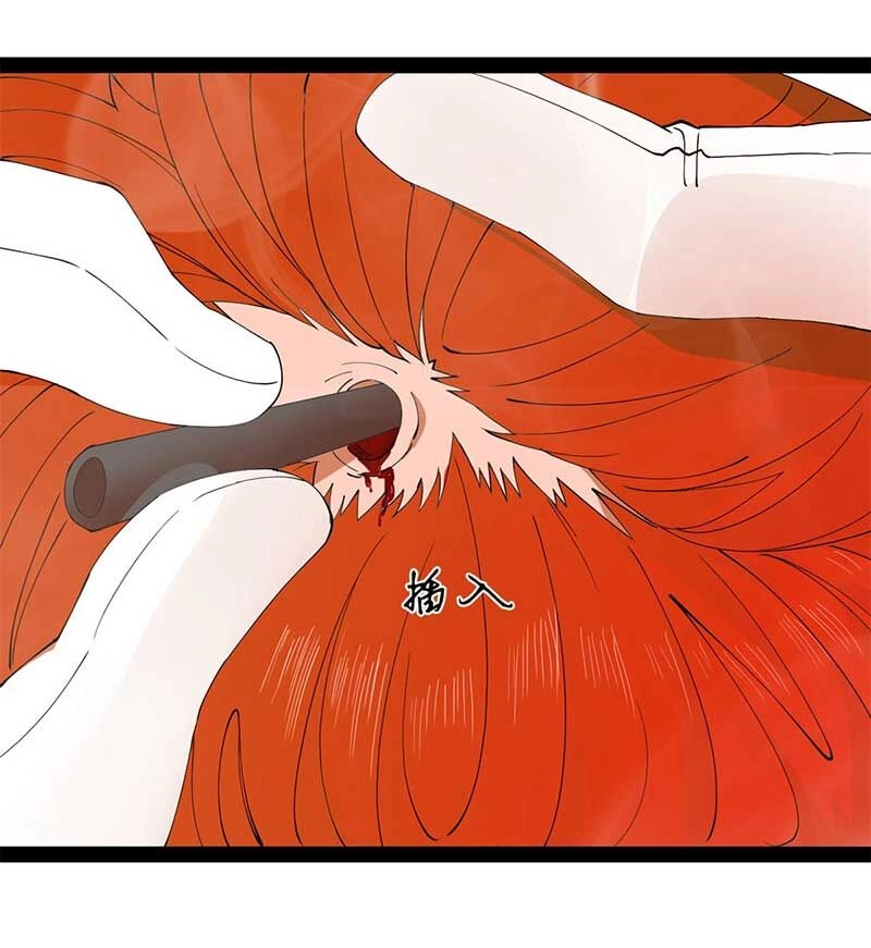 Chàng Rể Mạnh Nhất Lịch Sử Chapter 138 - 58