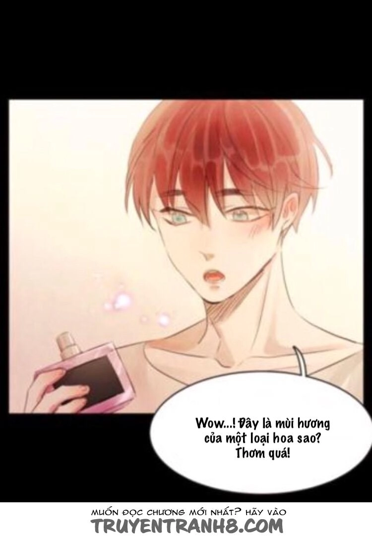 Giữa Tình Yêu Và Tình Bạn Chapter 19 - 21