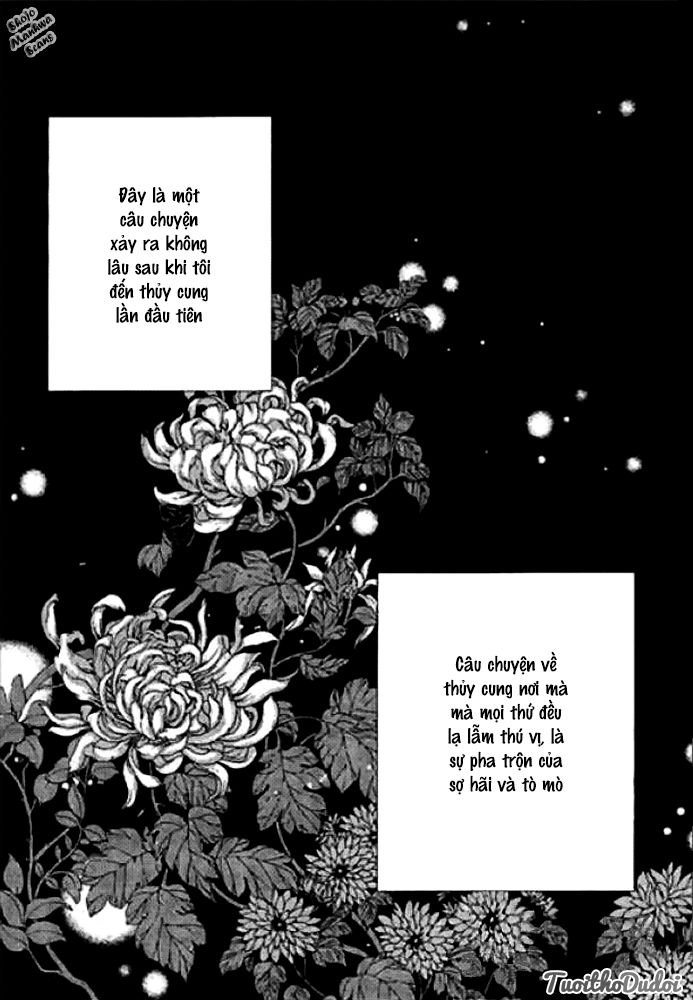 Tân Nương Của Thủy Thần Chapter 124 - 6