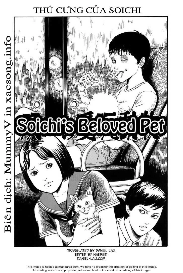 New Voices In The Dark Chapter 2 - 1