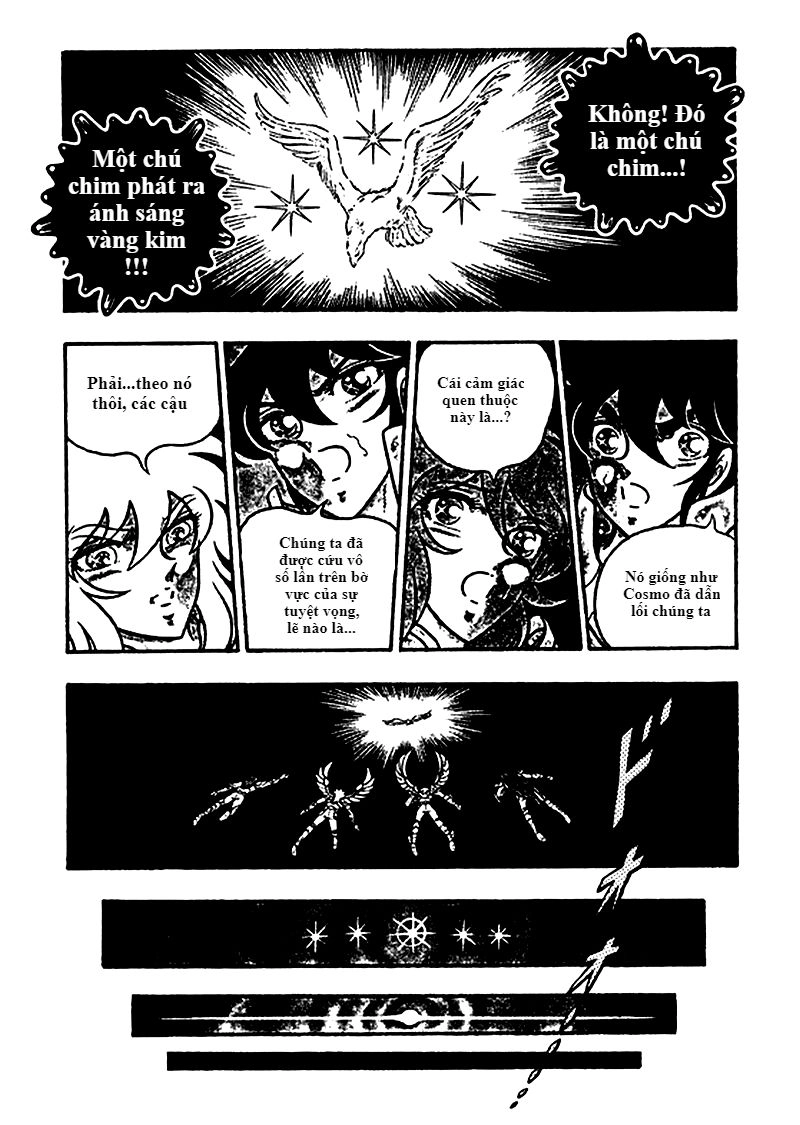 Áo Giáp Vàng: Zeus Chapter 5 - 16